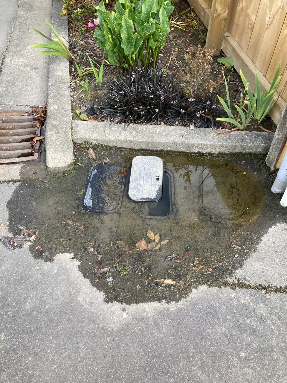 The photograph attached to this water leak report