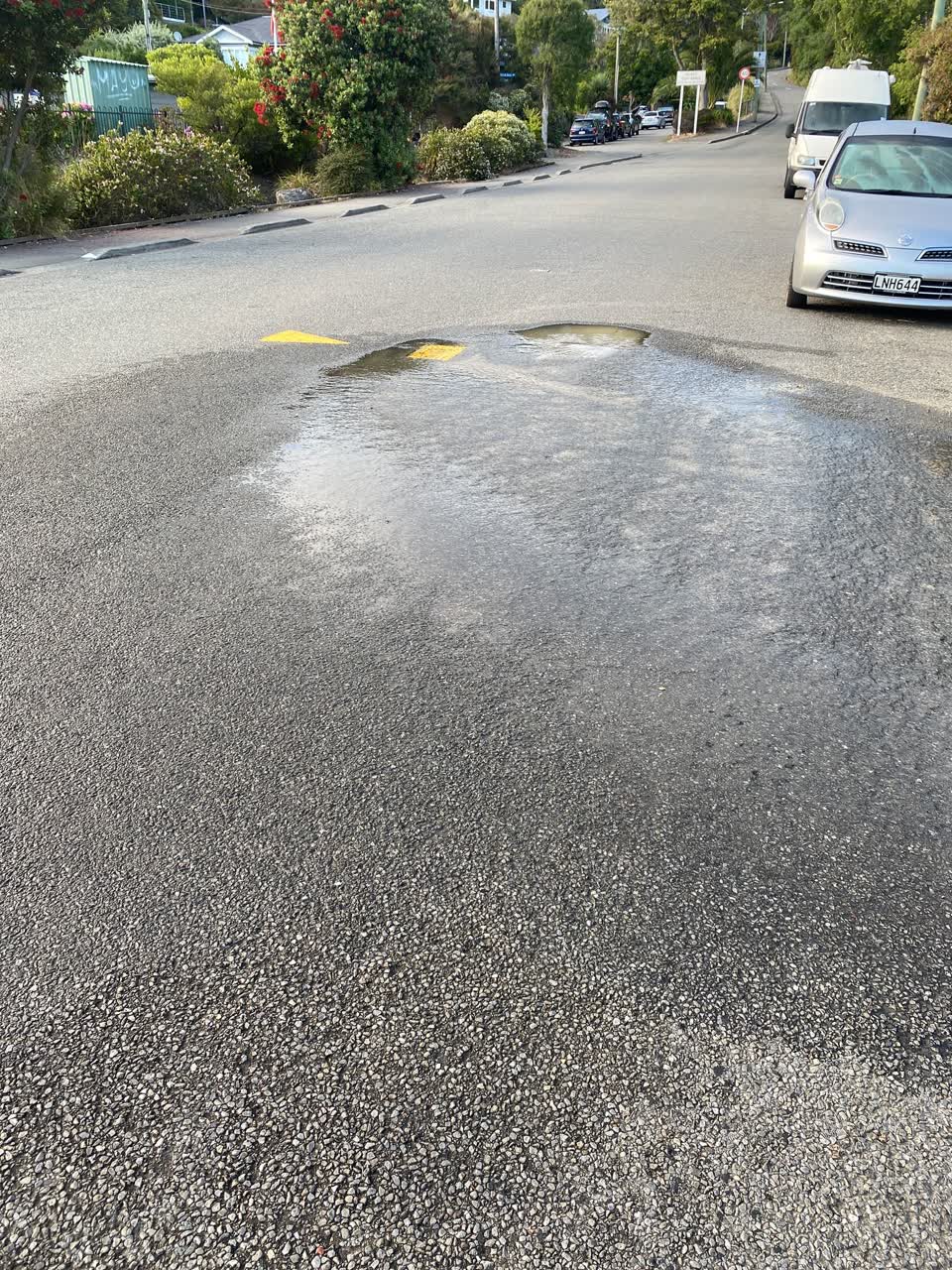 The photograph attached to this water leak report