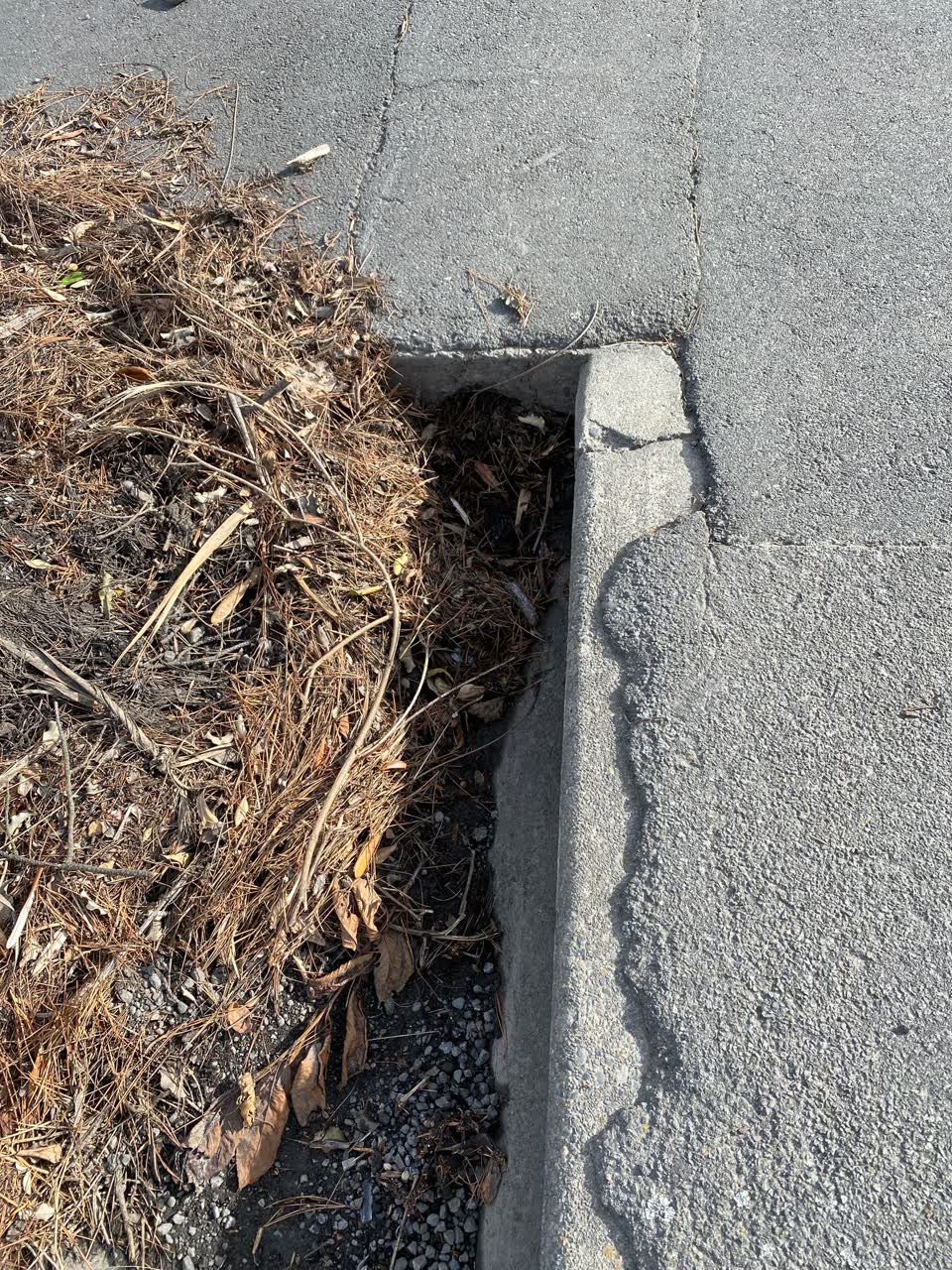 The photograph attached to this wastewater/stormwater report