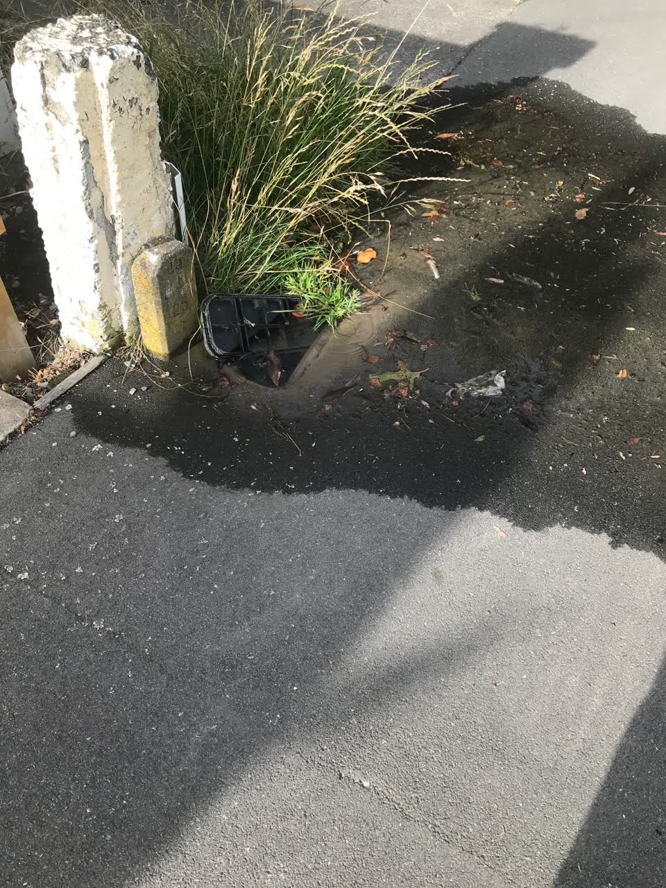 The photograph attached to this water leak report