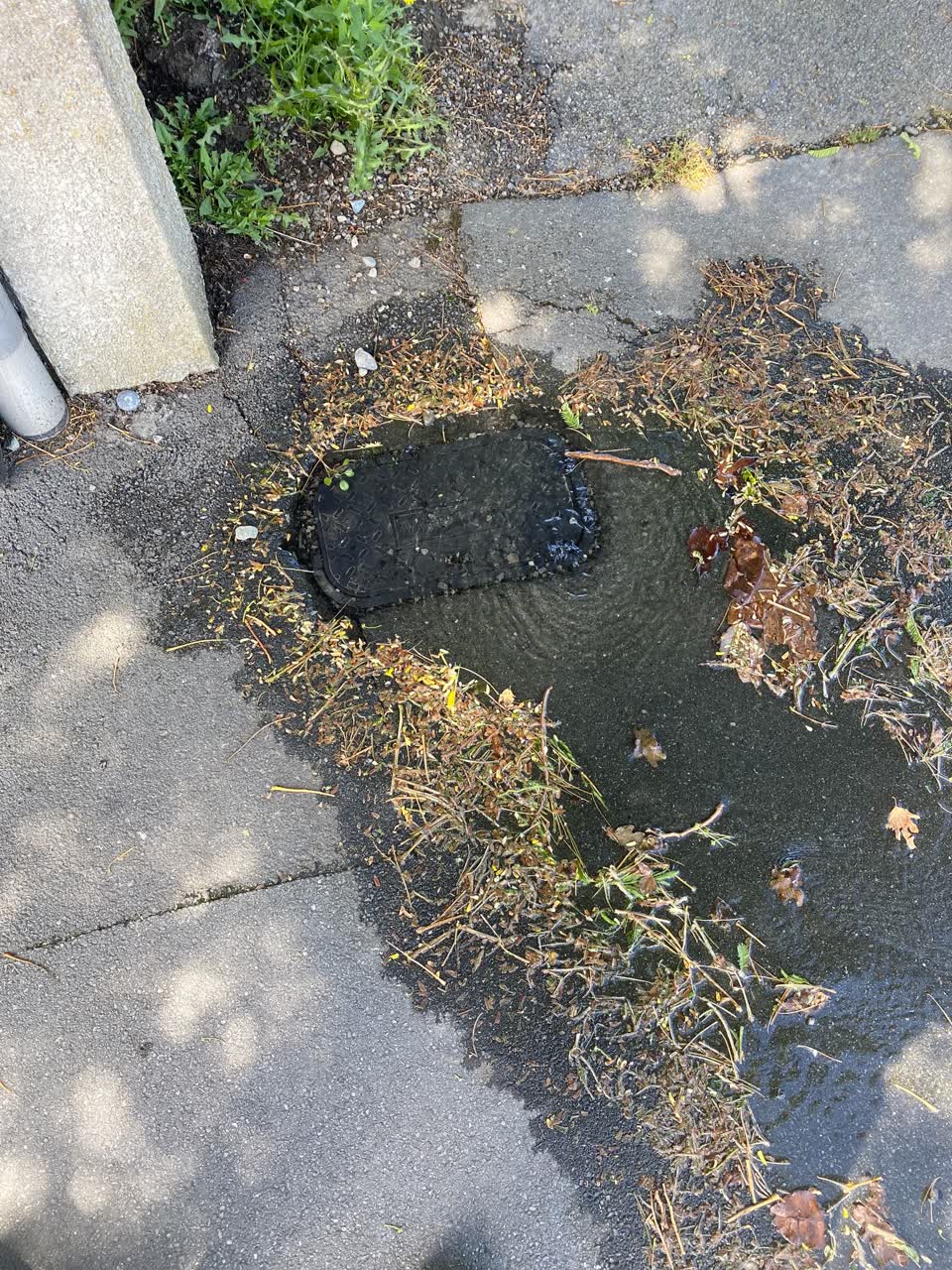 The photograph attached to this water leak report