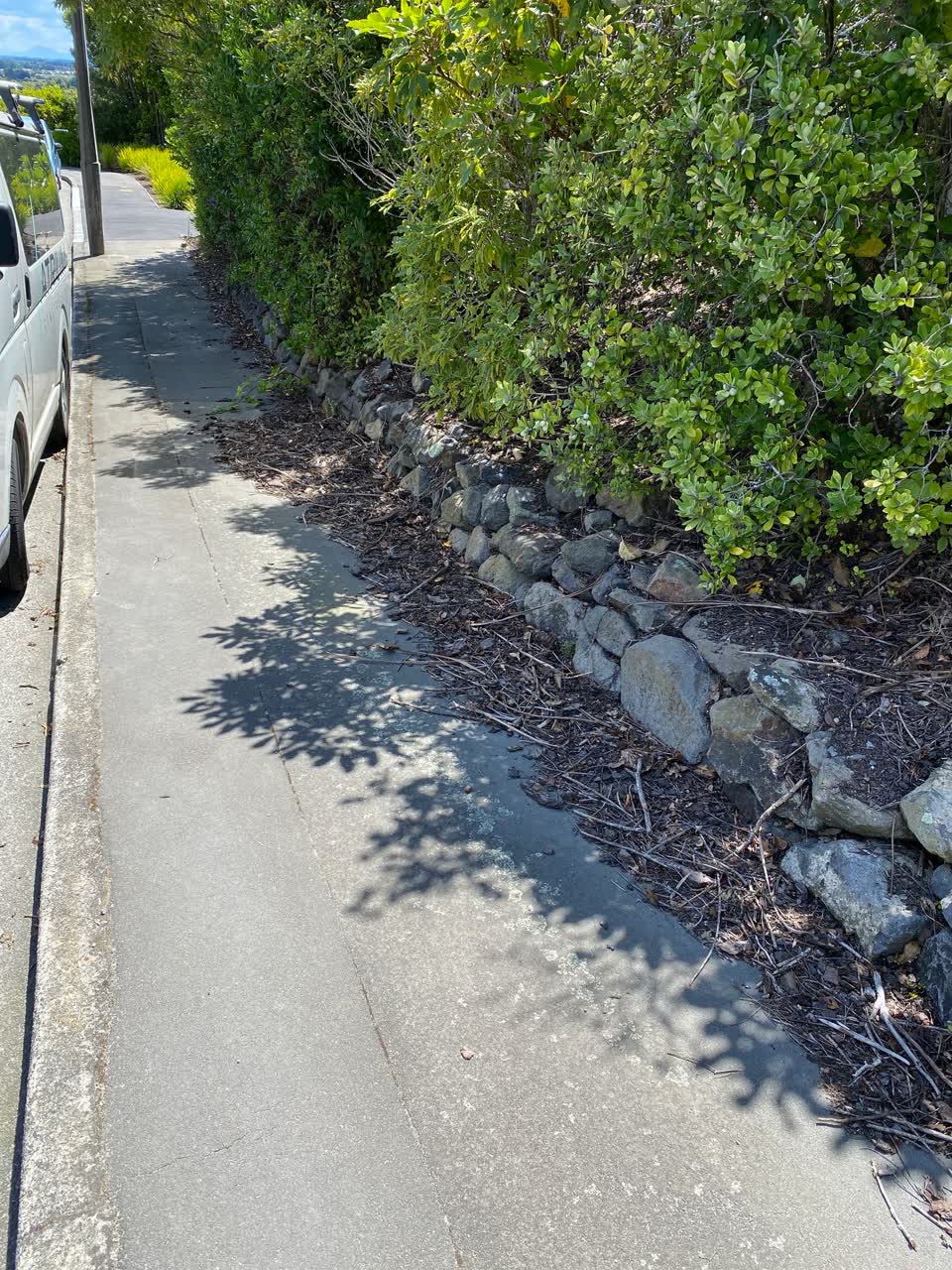 The photograph attached to this parks report