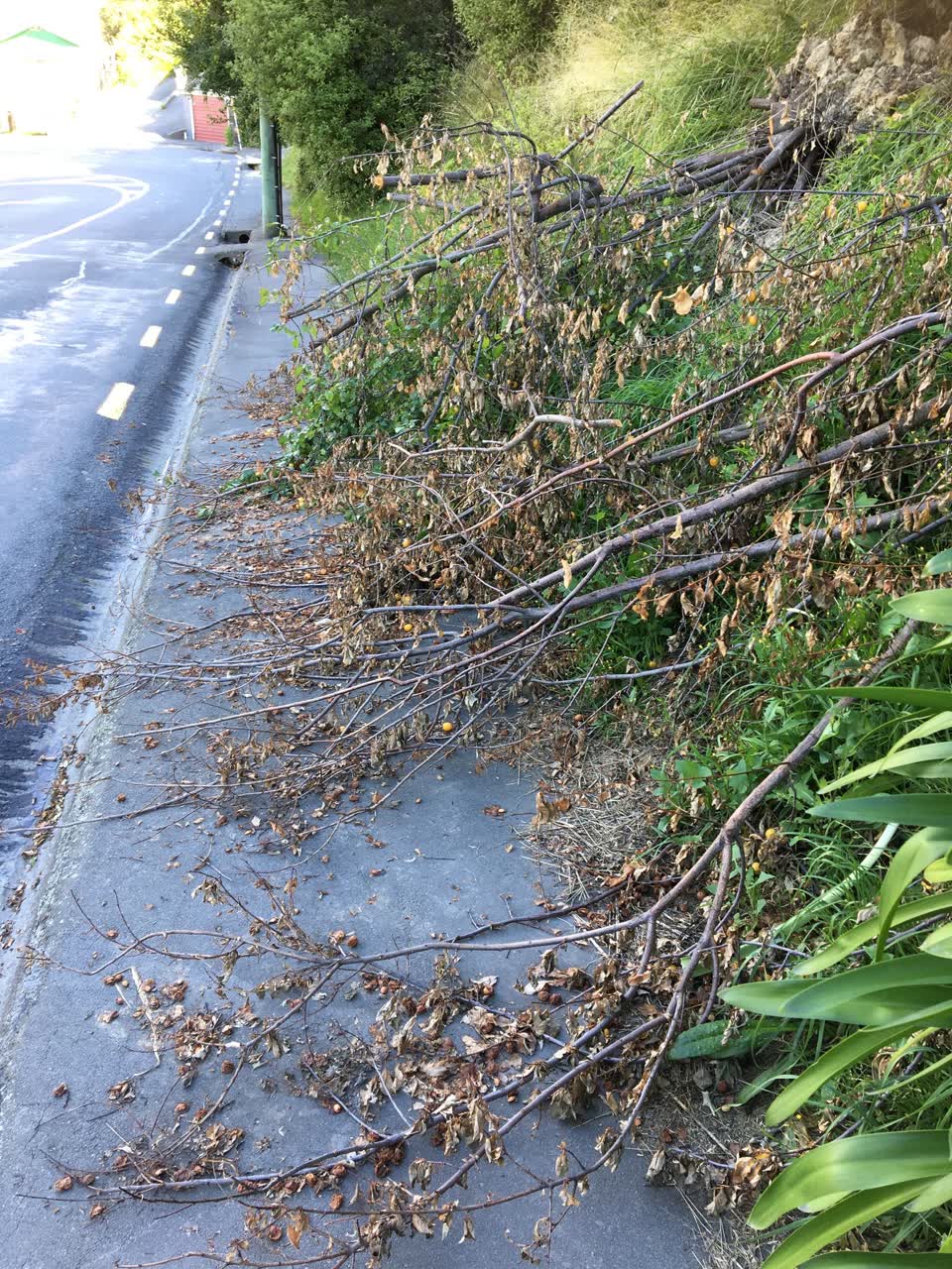 The photograph attached to this roading/streets report