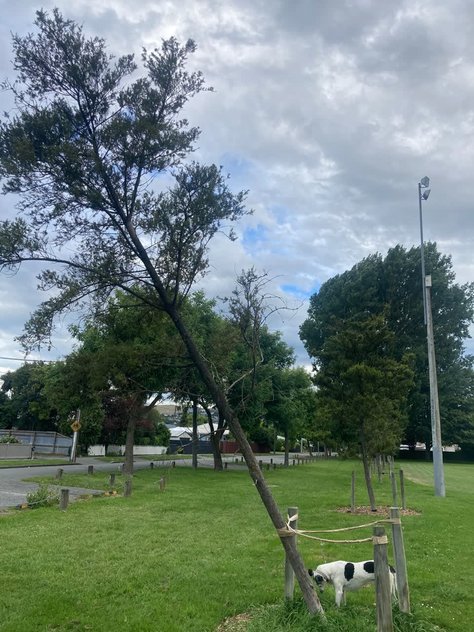 The photograph attached to this parks report