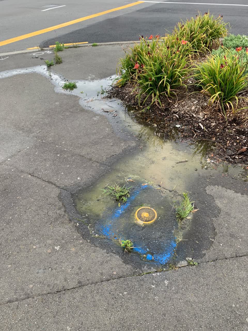The photograph attached to this water leak report