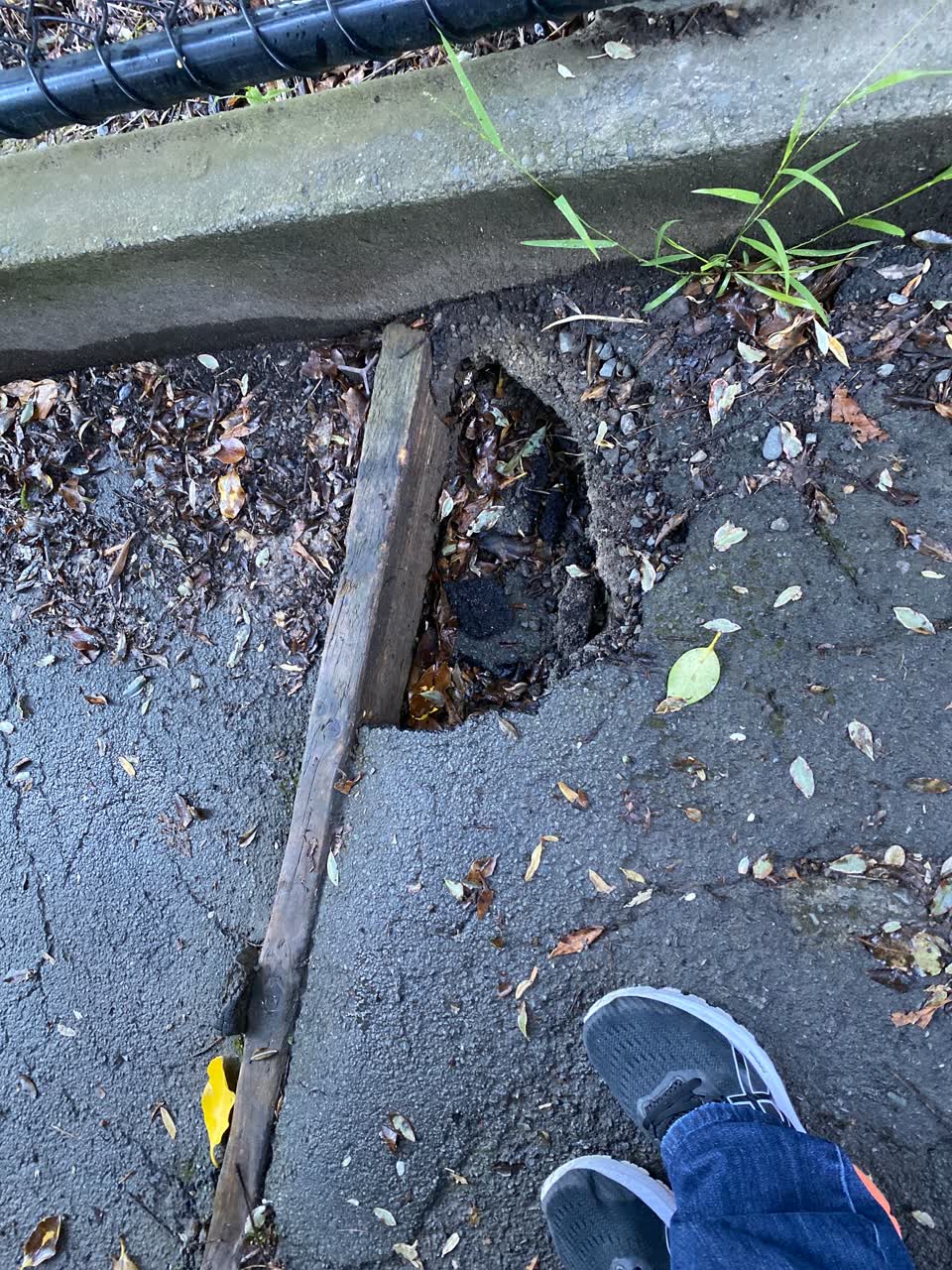 The photograph attached to this roading/streets report