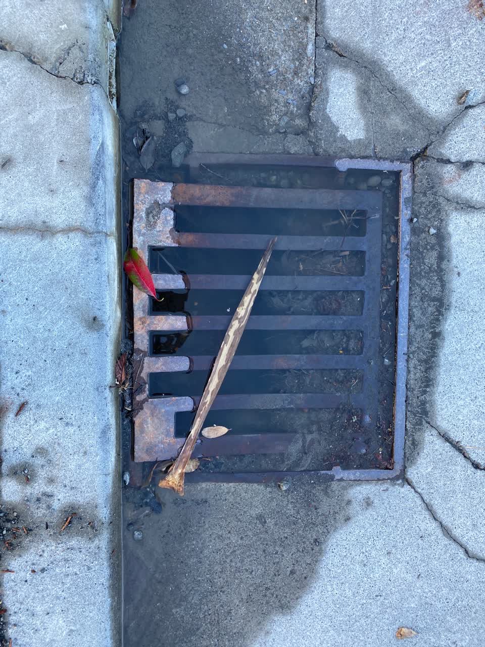 The photograph attached to this wastewater/stormwater report