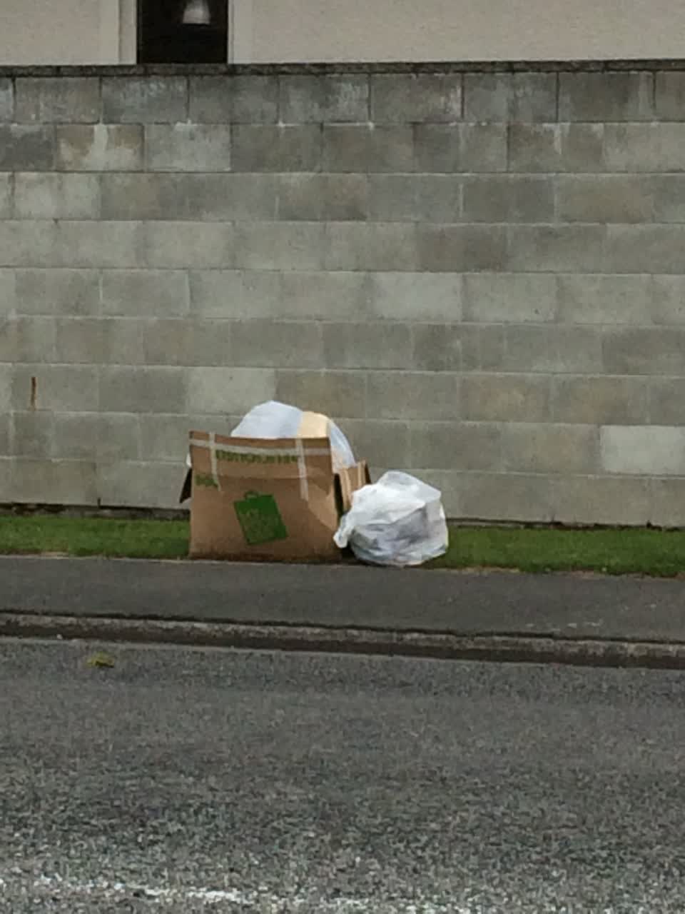 The photograph attached to this rubbish/recycling report
