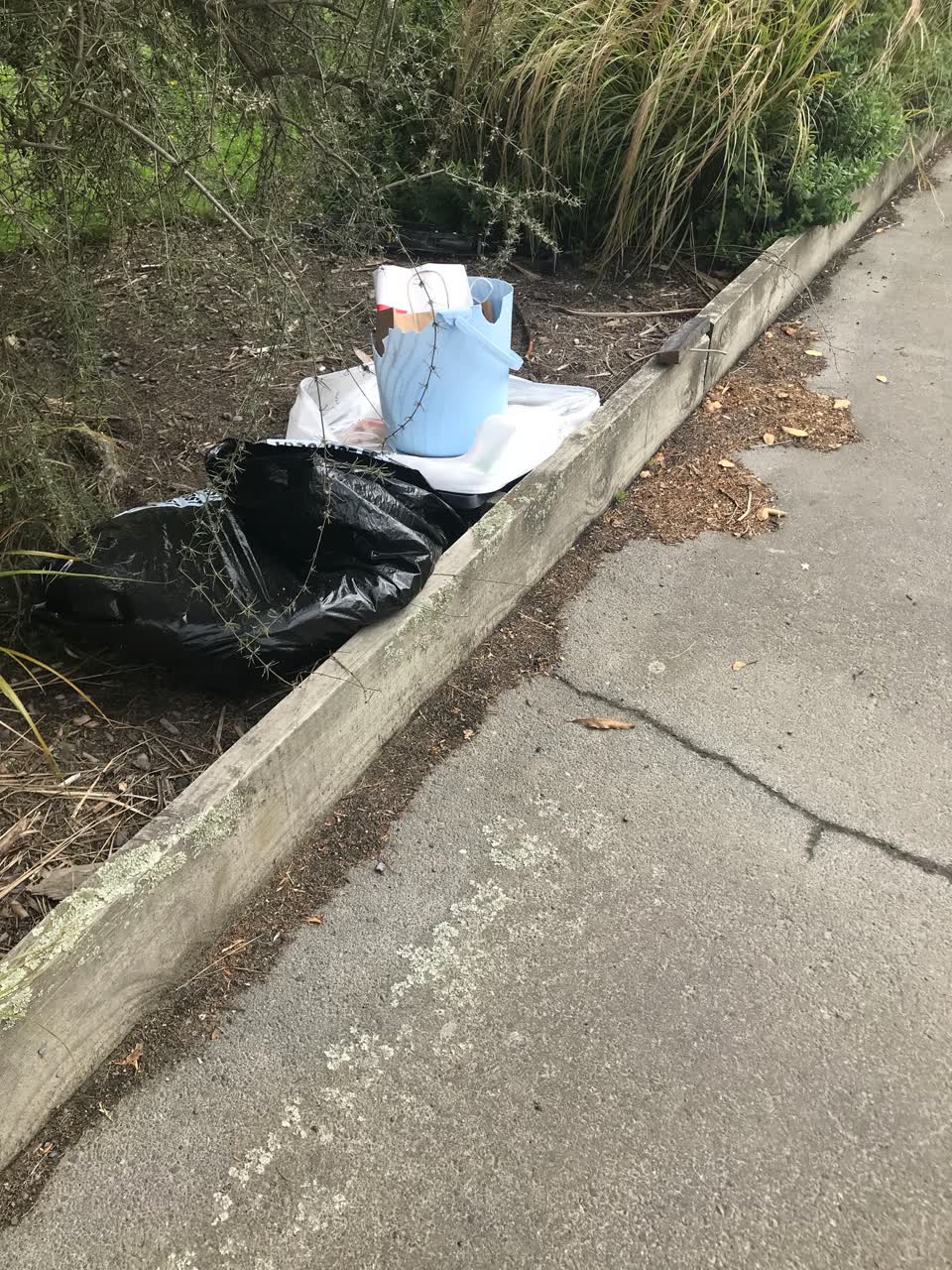 The photograph attached to this rubbish/recycling report
