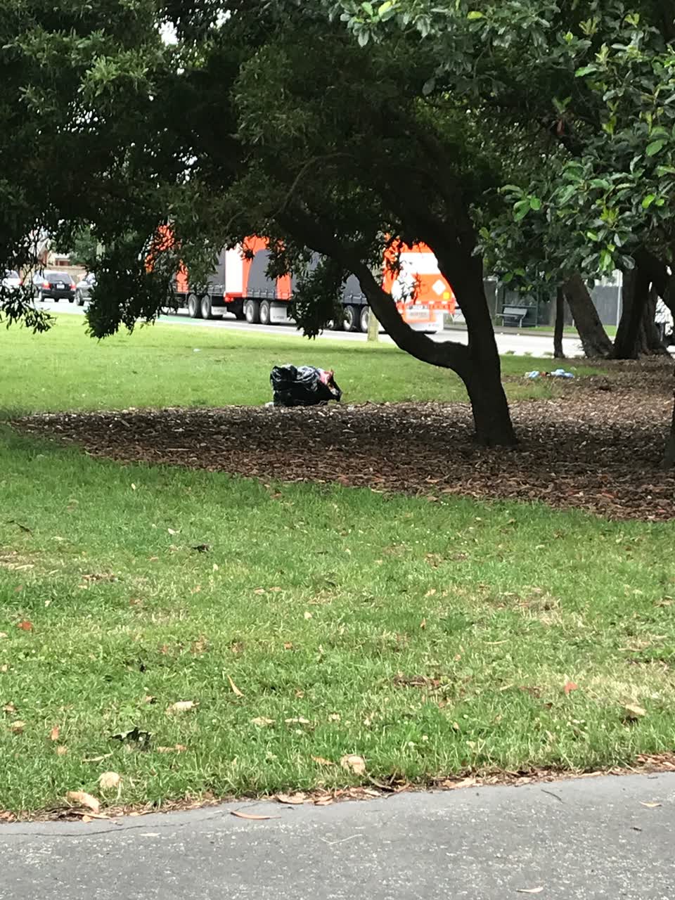 The photograph attached to this parks report