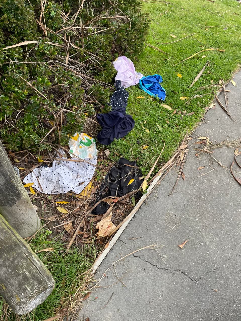 The photograph attached to this rubbish/recycling report