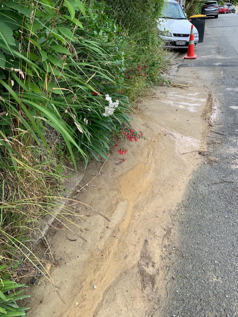 The photograph attached to this roading/streets report