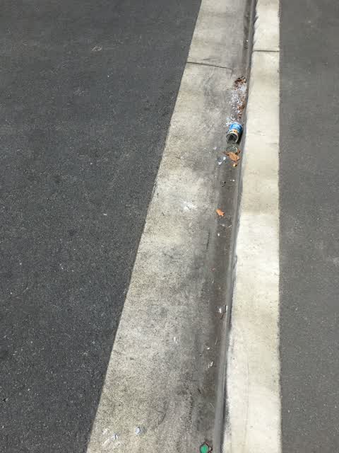 Roading/Streets, a report photo