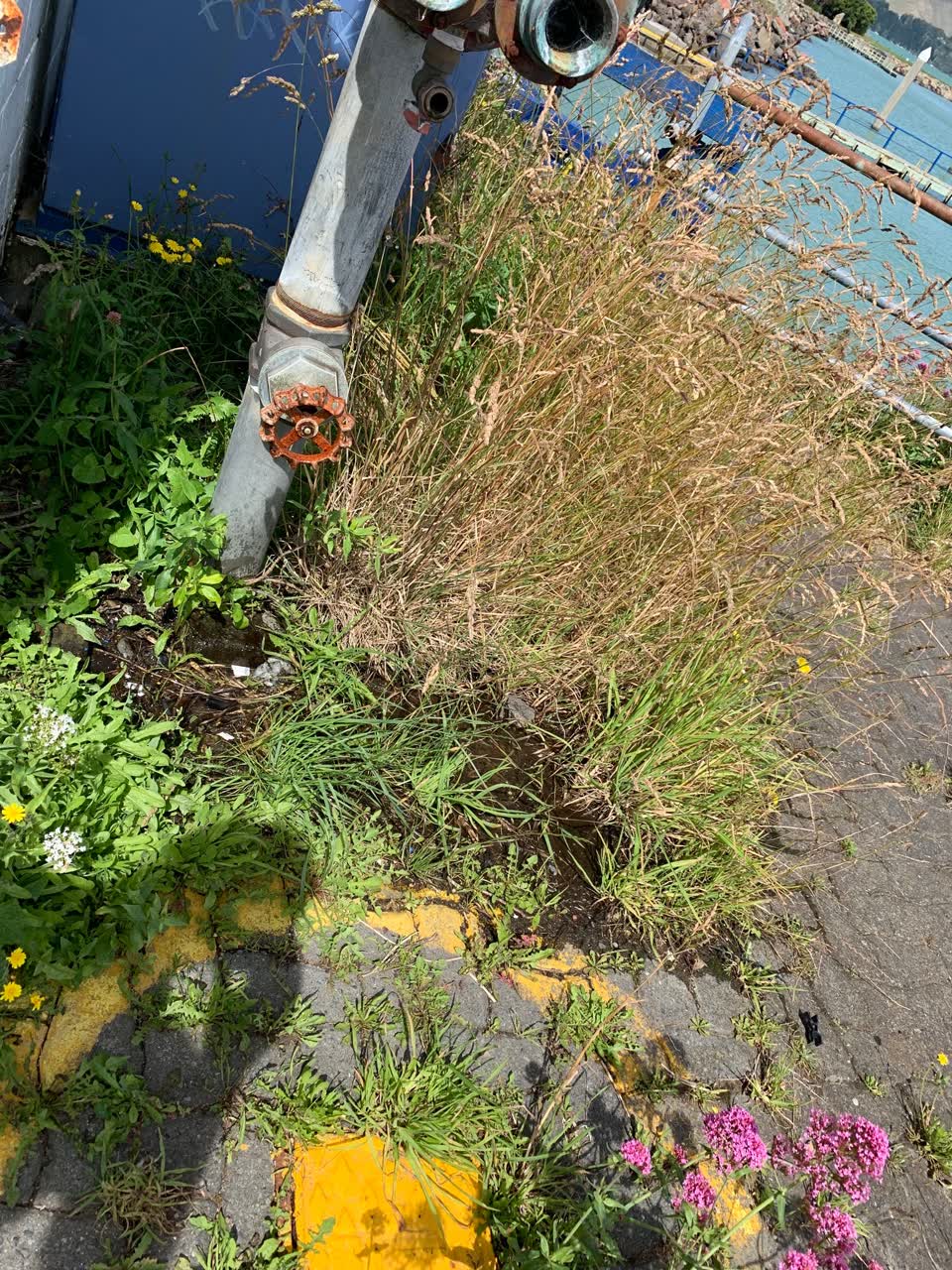 The photograph attached to this general request report