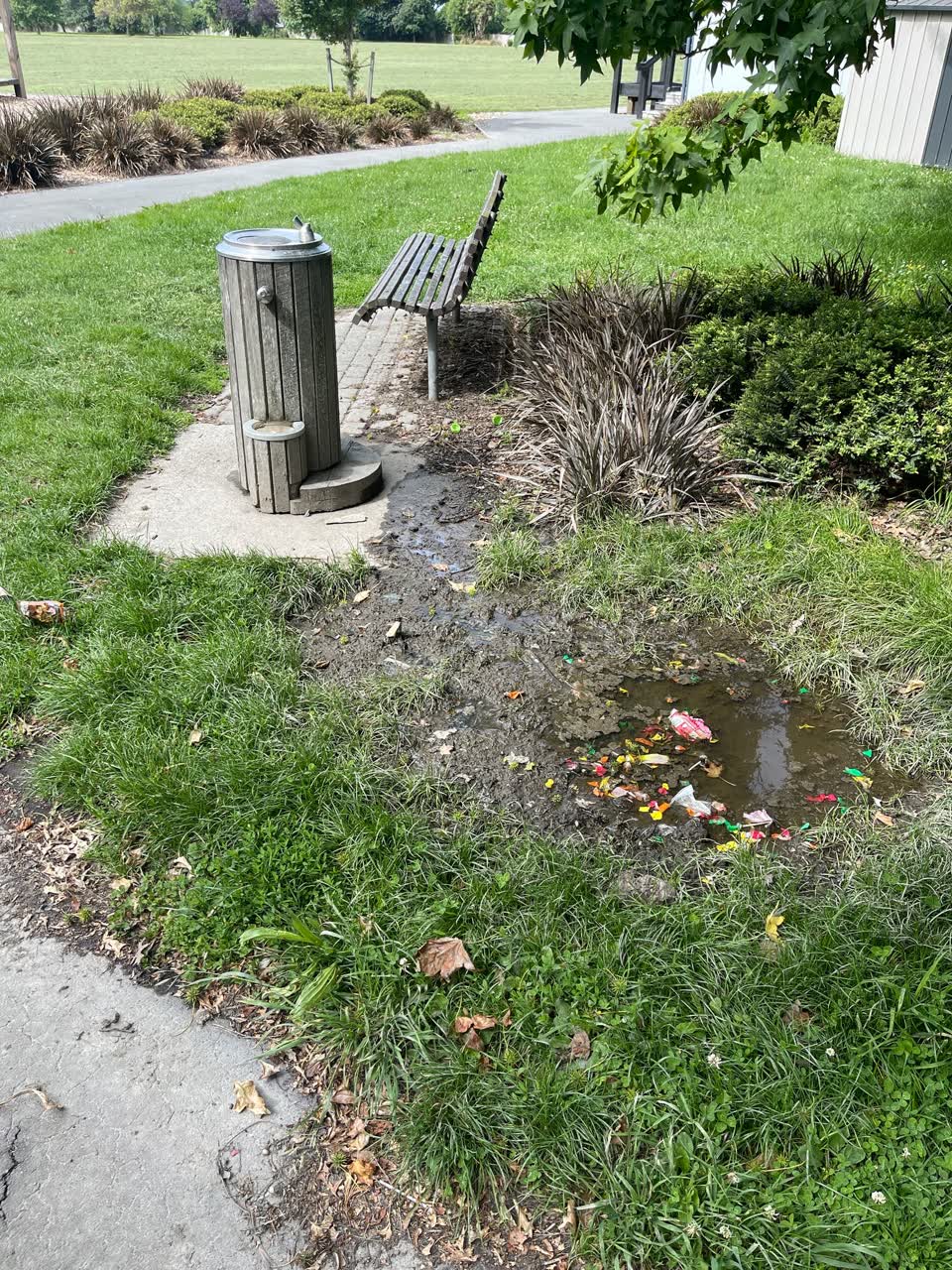 The photograph attached to this parks report
