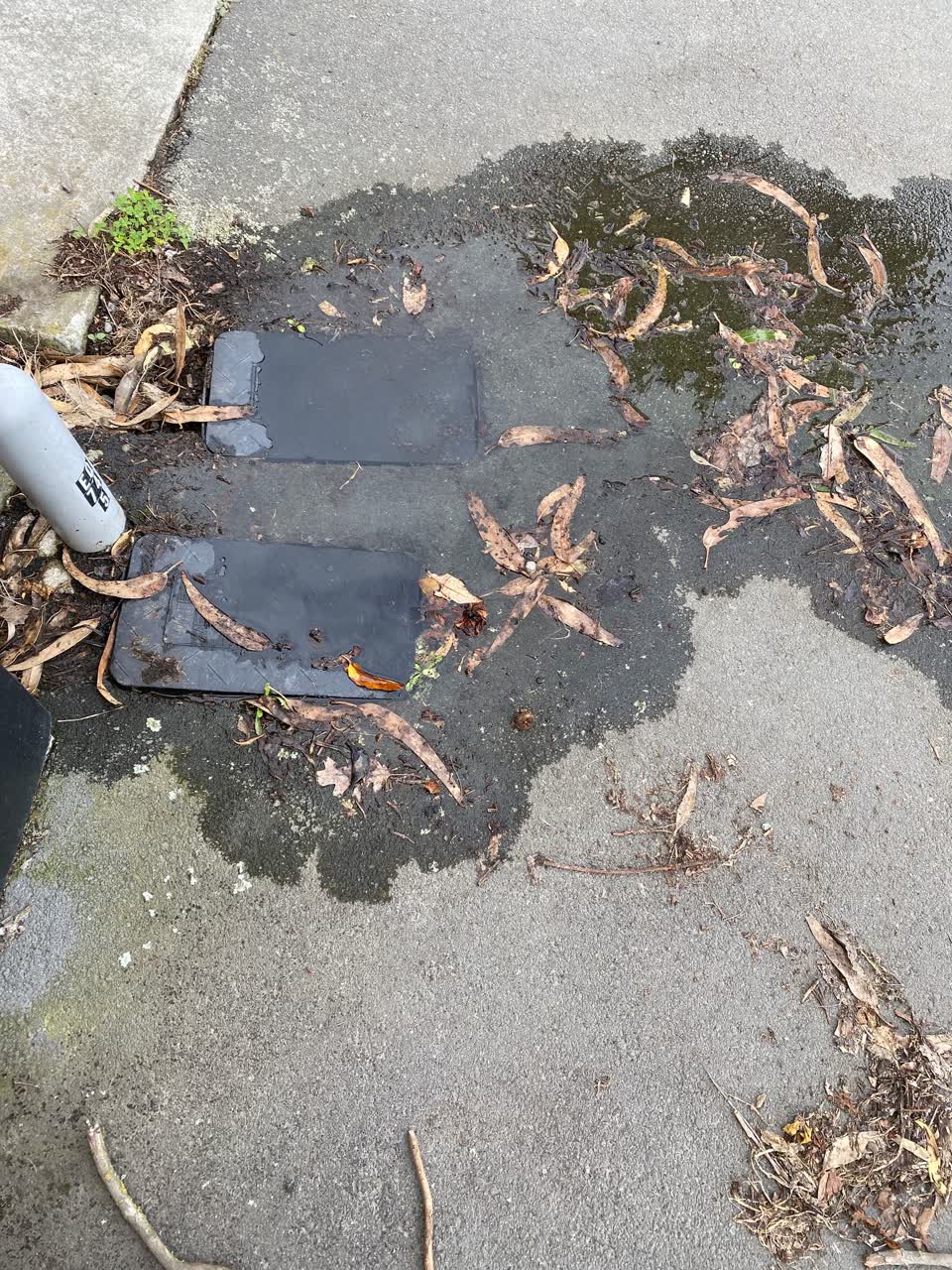 The photograph attached to this water leak report