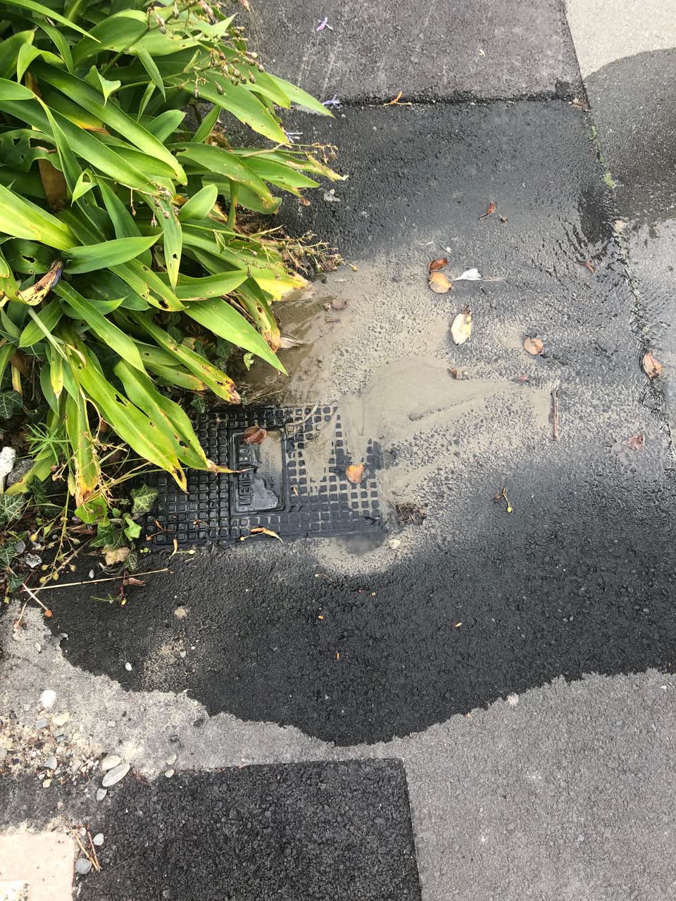 The photograph attached to this water leak report