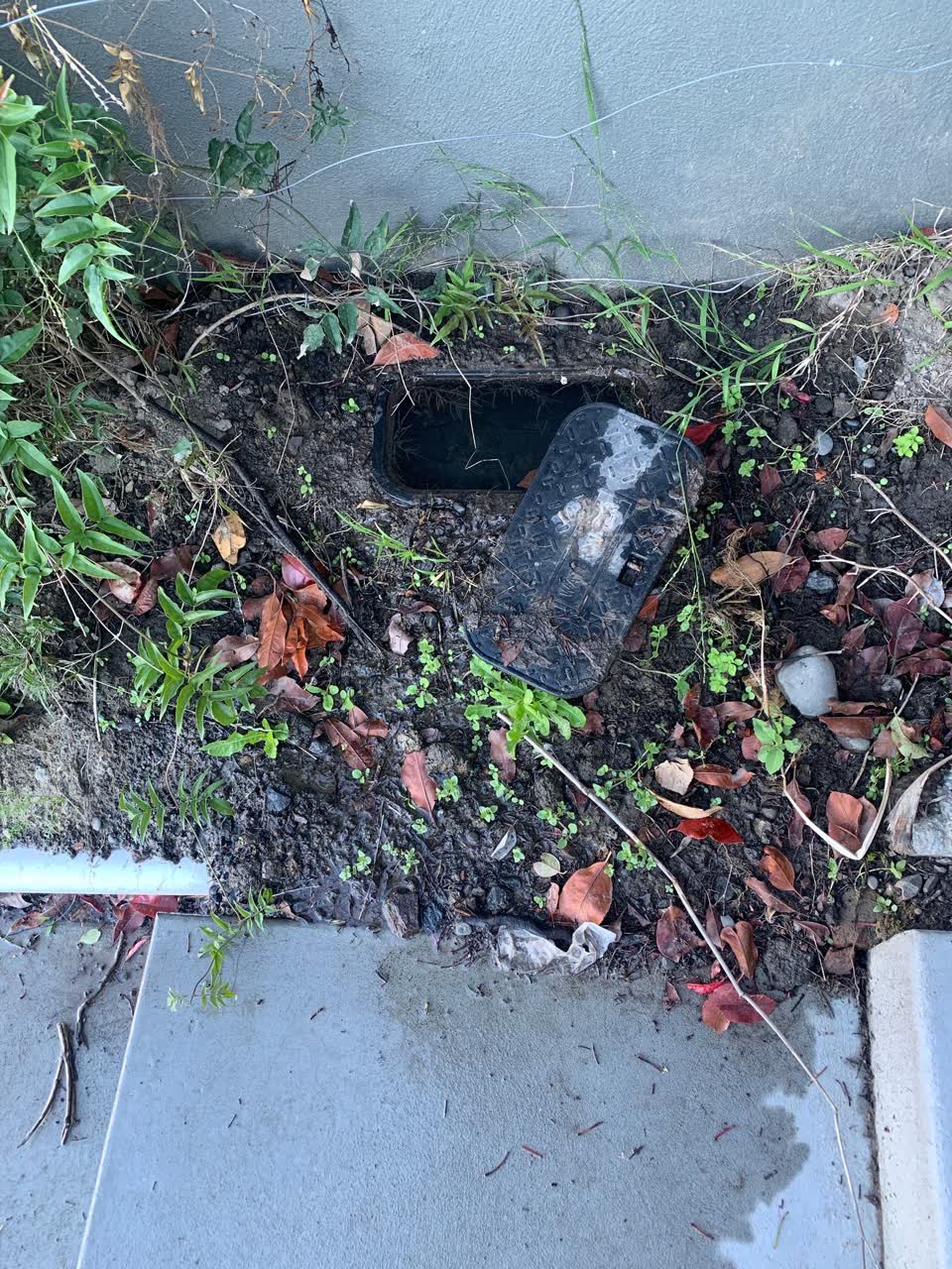 The photograph attached to this water leak report