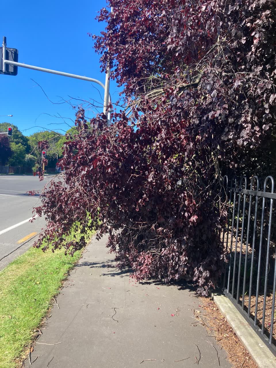 The photograph attached to this roading/streets report