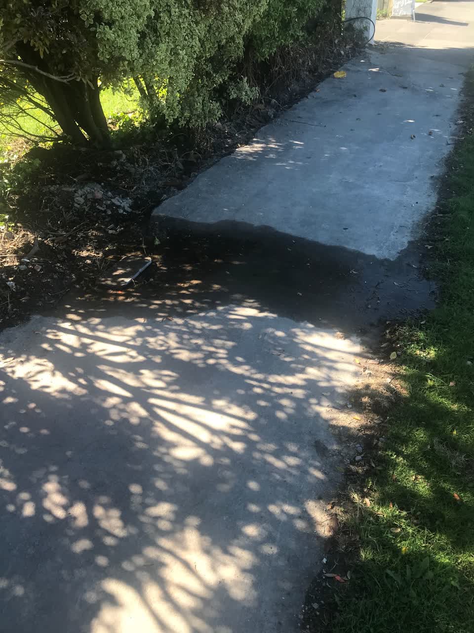 The photograph attached to this water leak report