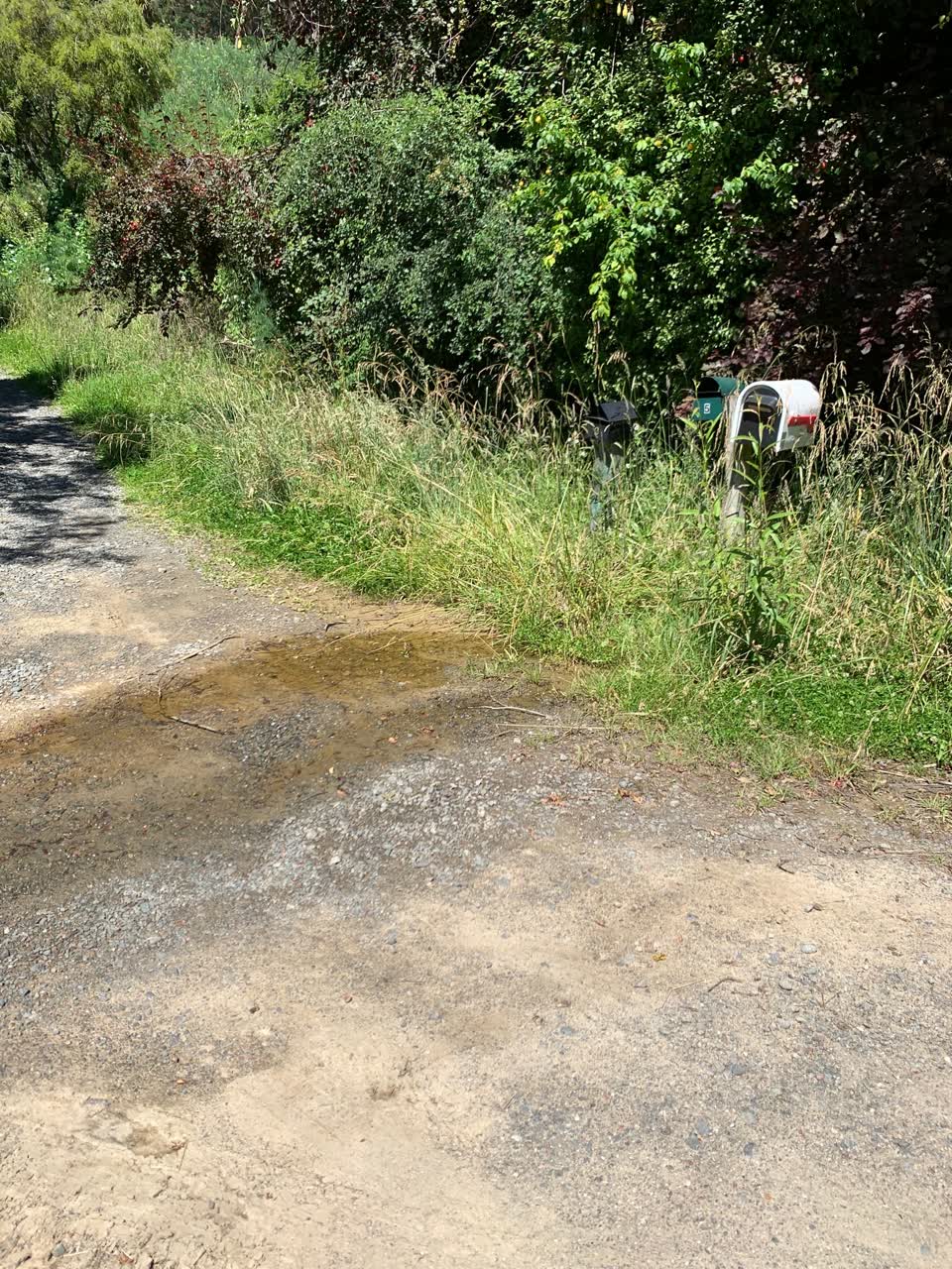 The photograph attached to this water leak report