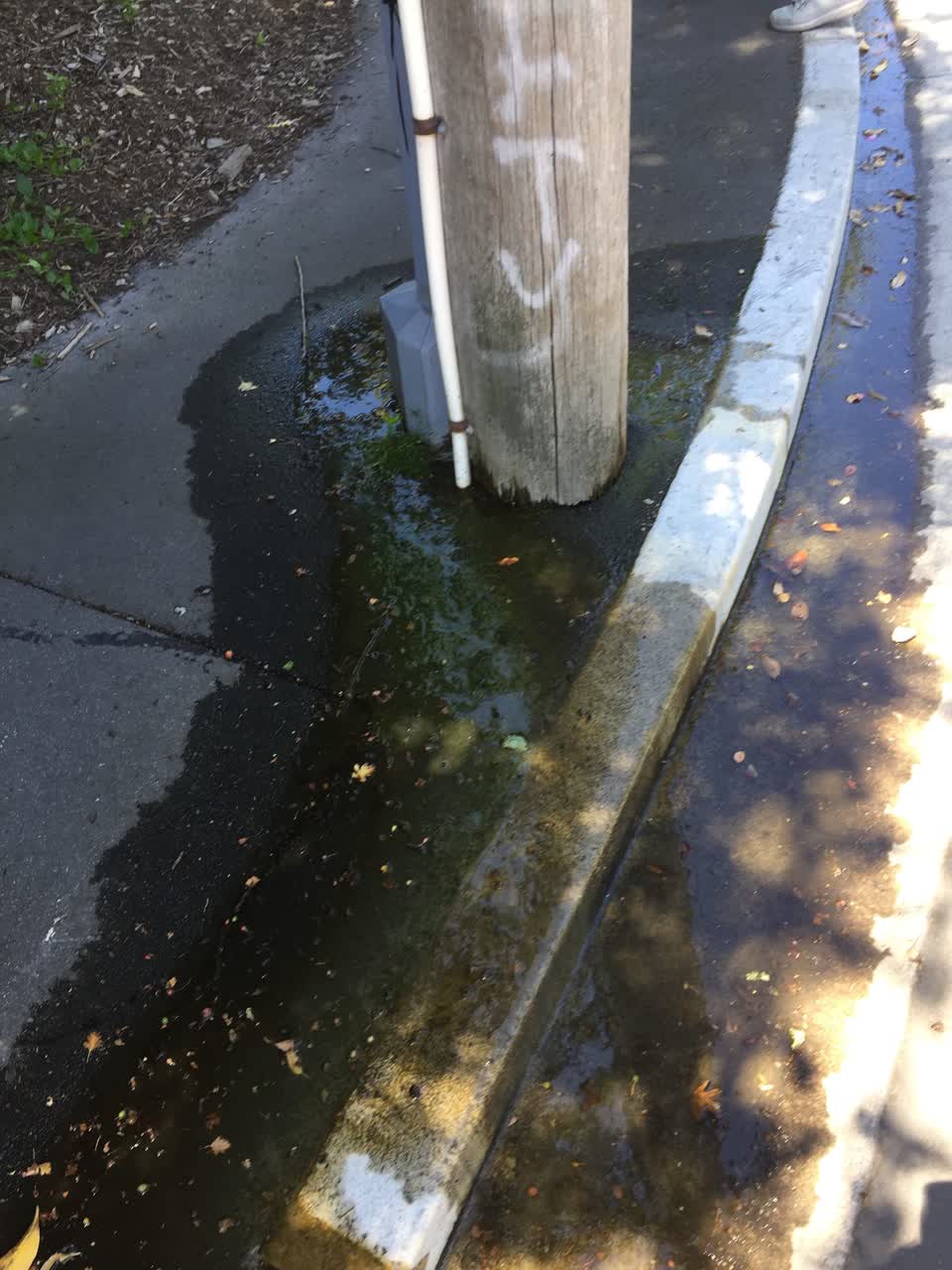 The photograph attached to this water leak report