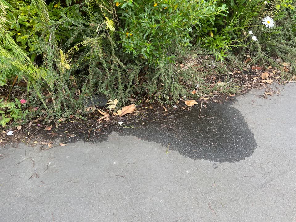 The photograph attached to this water leak report