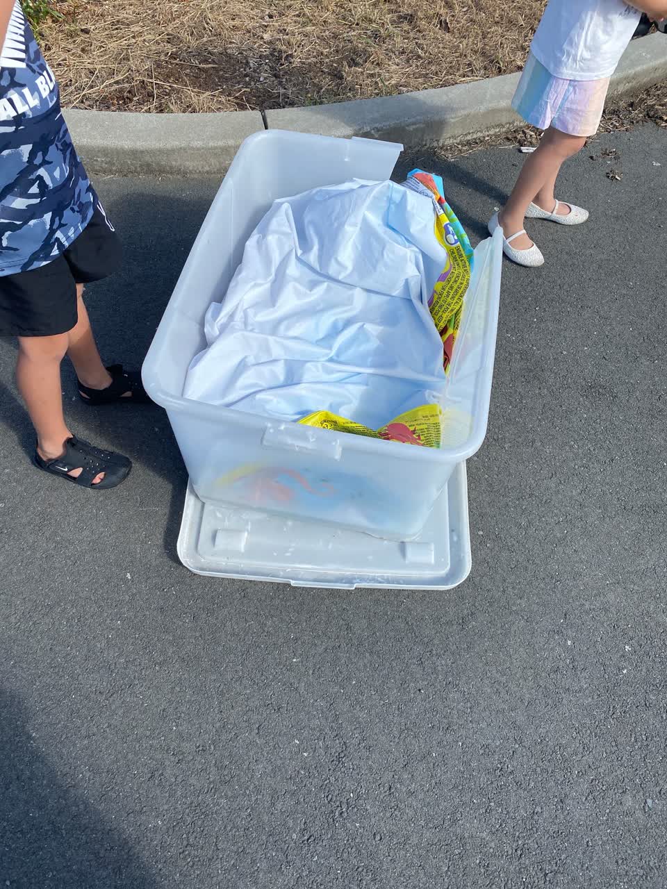 The photograph attached to this rubbish/recycling report