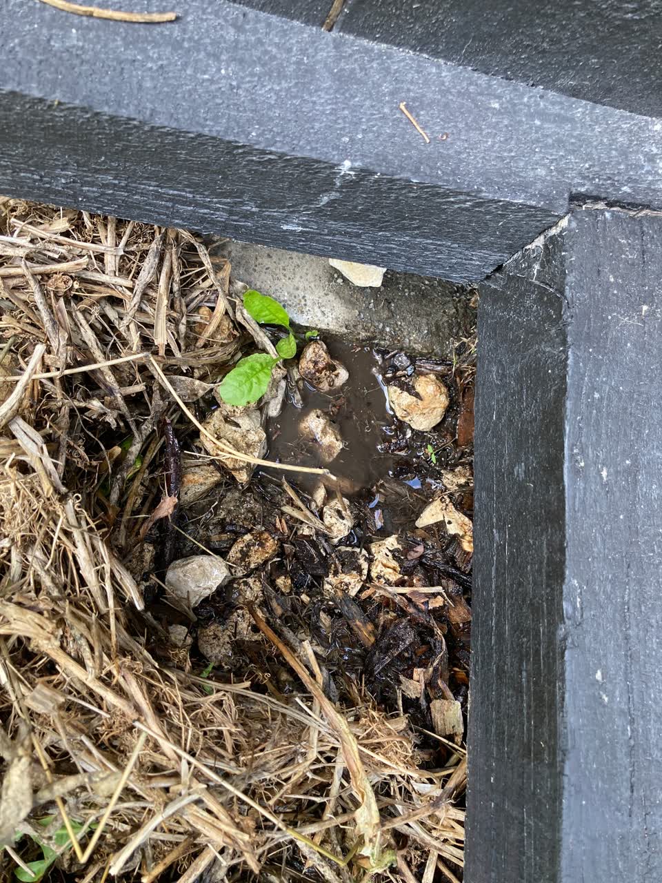 The photograph attached to this water leak report