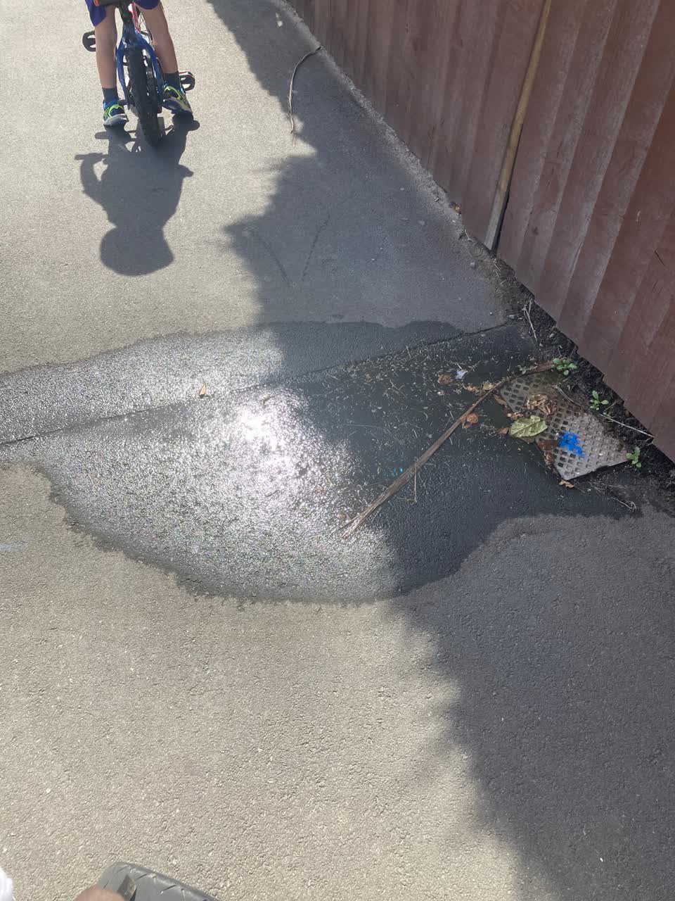 The photograph attached to this water leak report