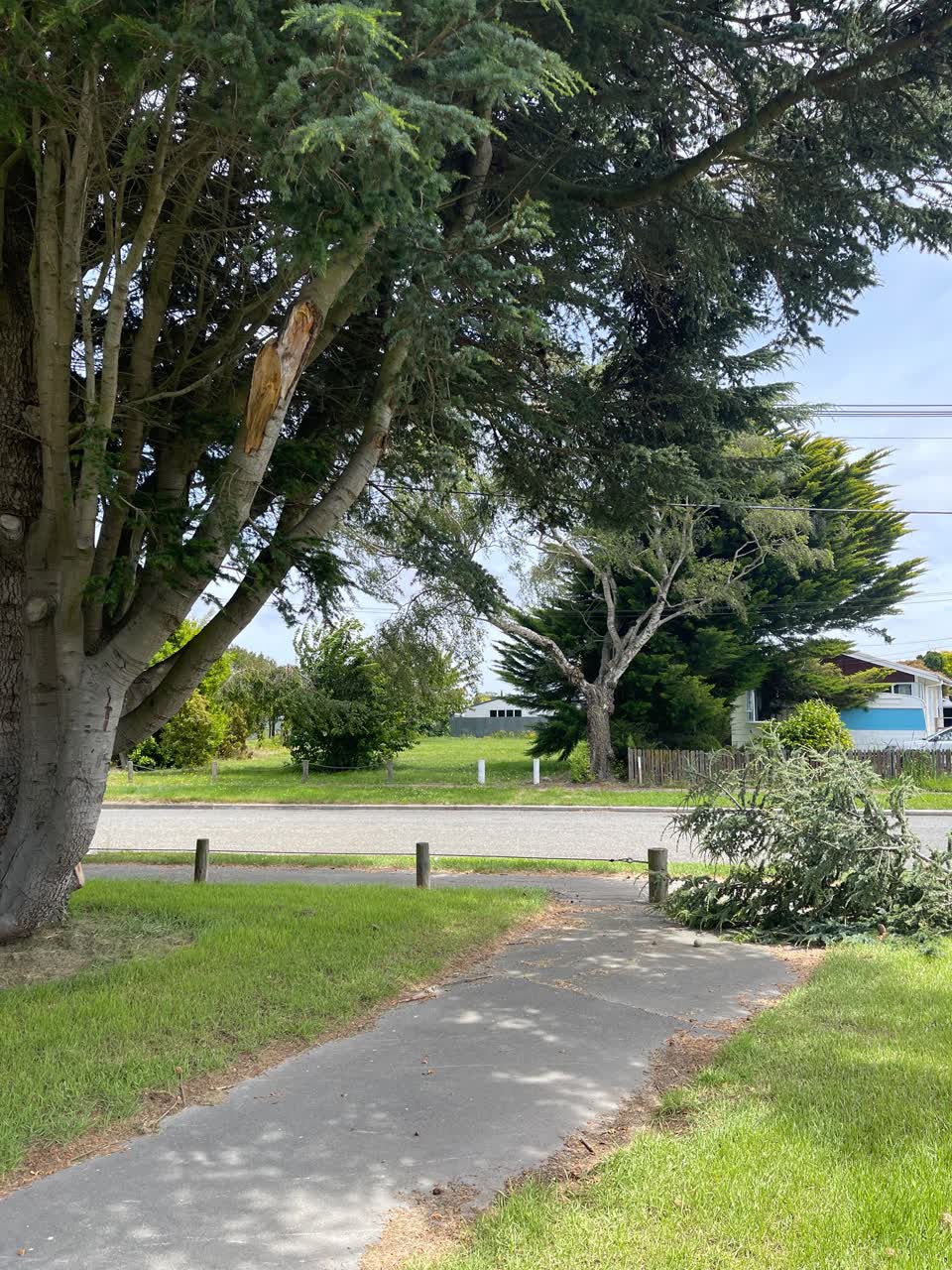 The photograph attached to this parks report