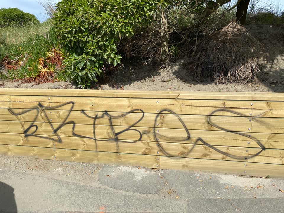 The photograph attached to this graffiti report