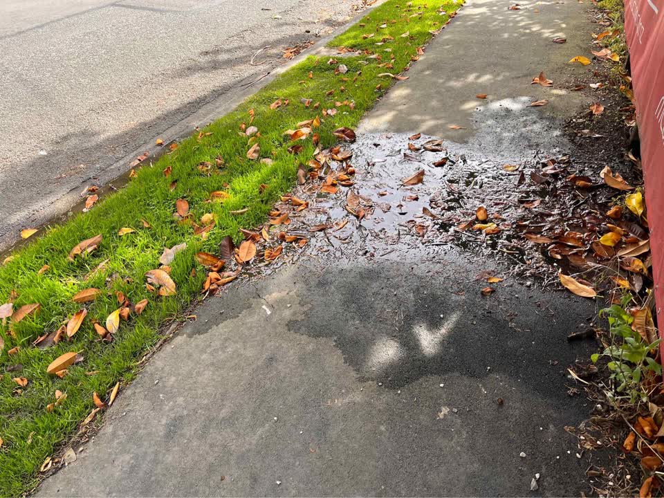 The photograph attached to this water leak report