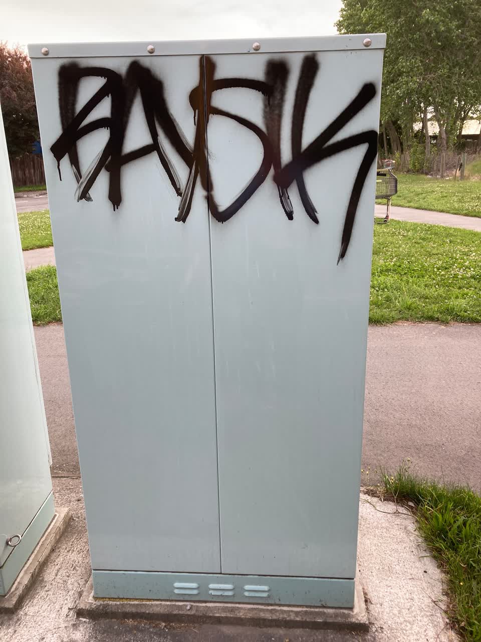 The photograph attached to this graffiti report