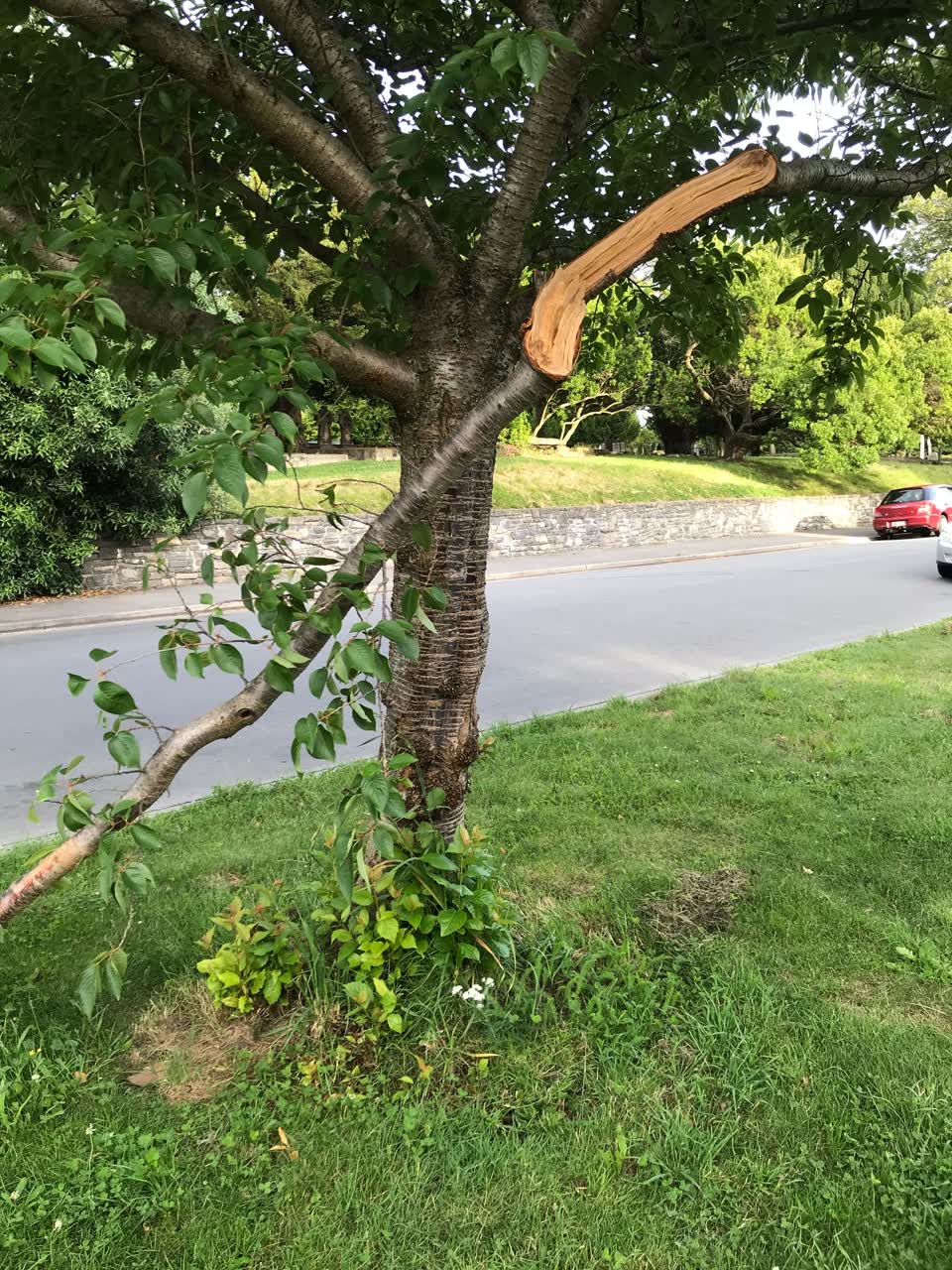 The photograph attached to this parks report