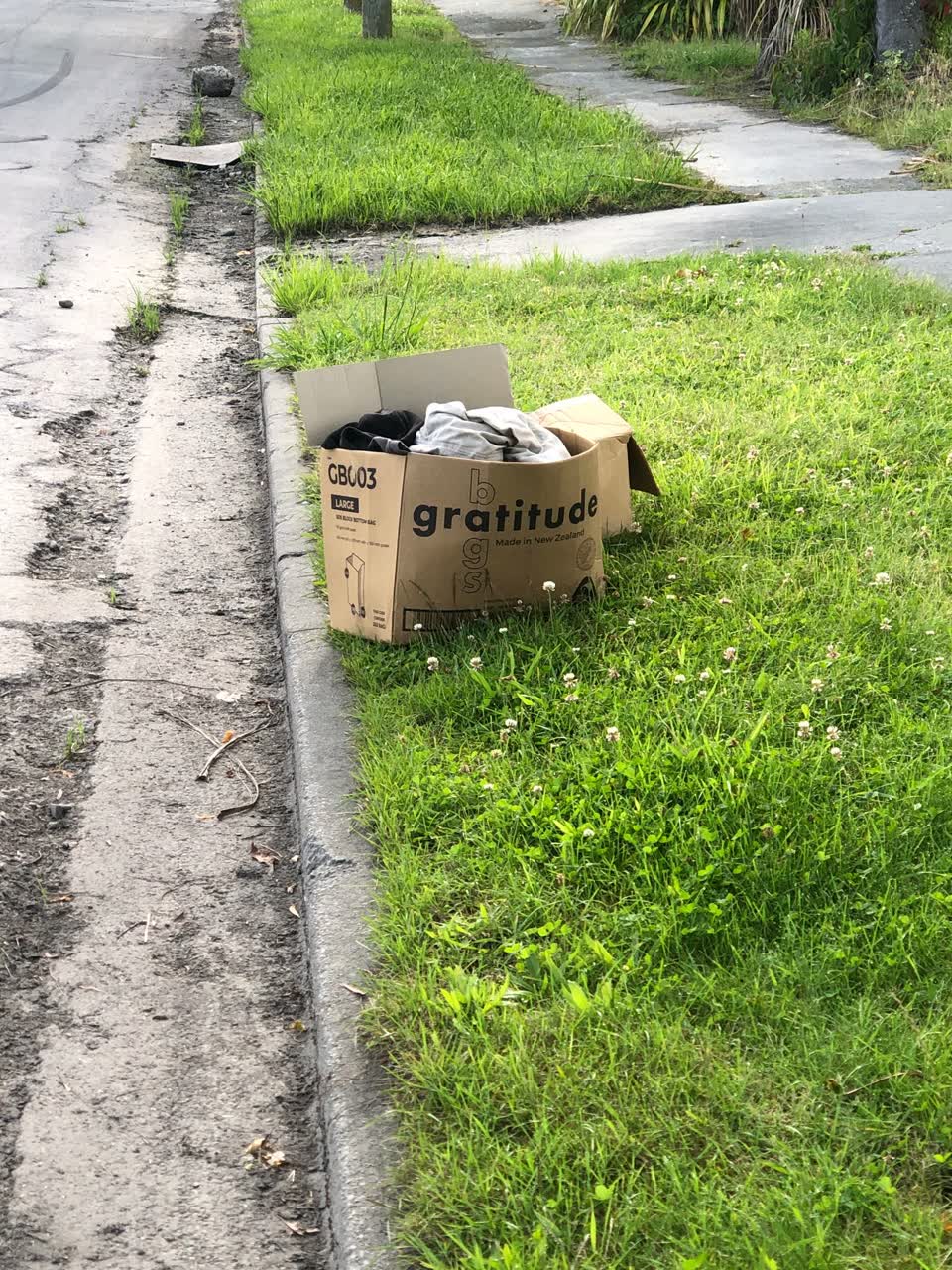 The photograph attached to this rubbish/recycling report