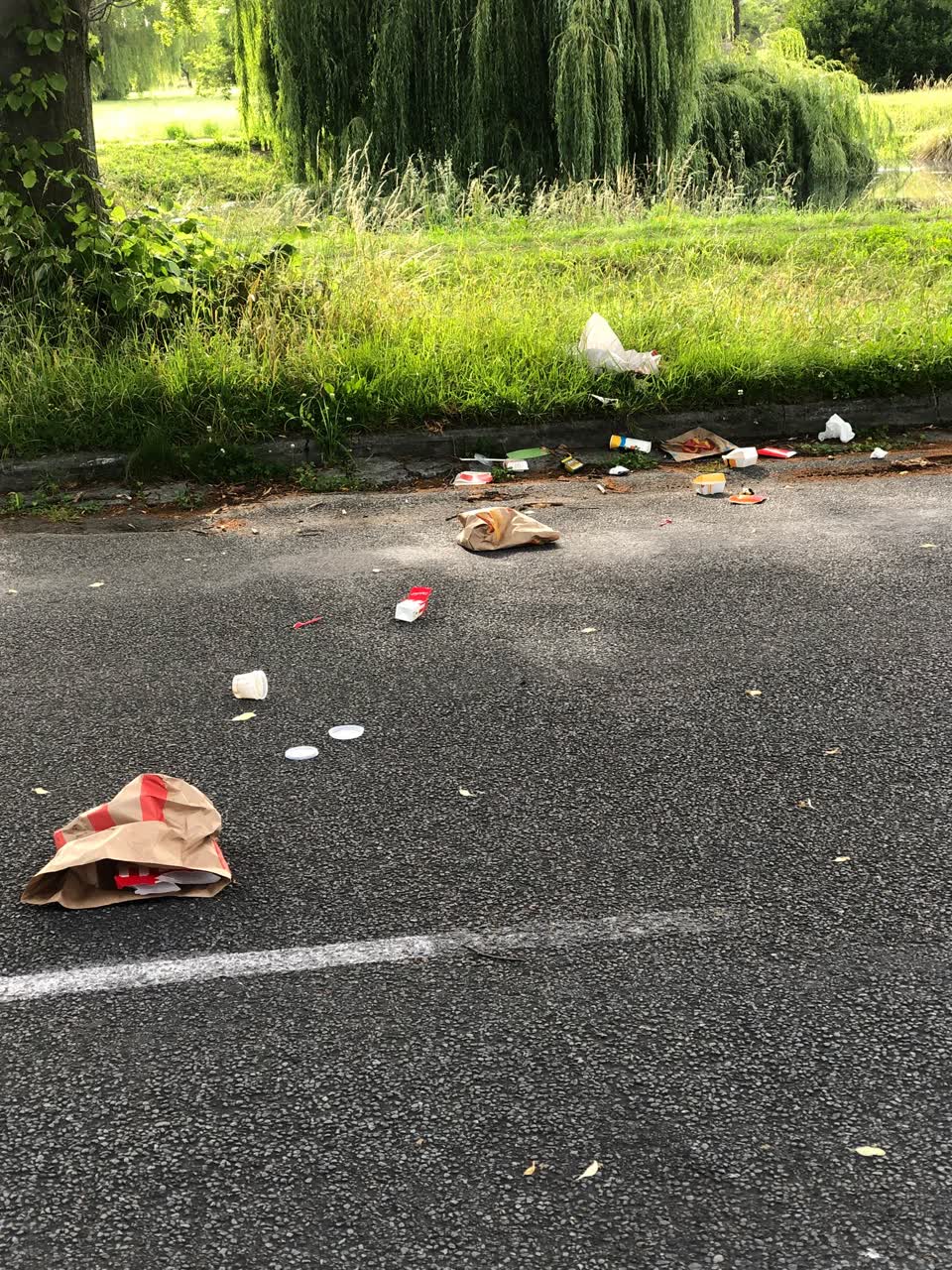 The photograph attached to this rubbish/recycling report