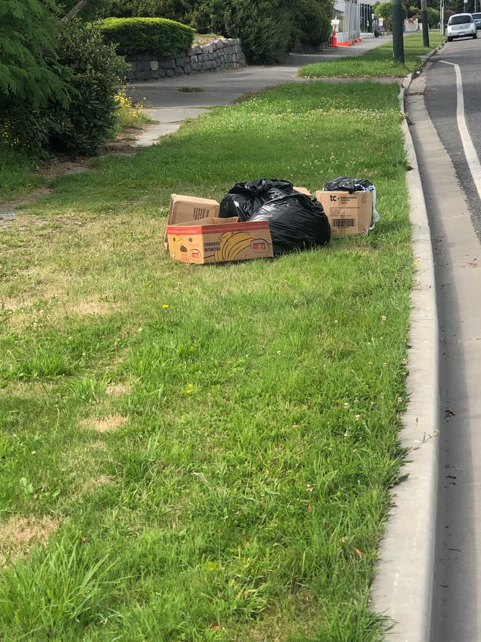 The photograph attached to this rubbish/recycling report