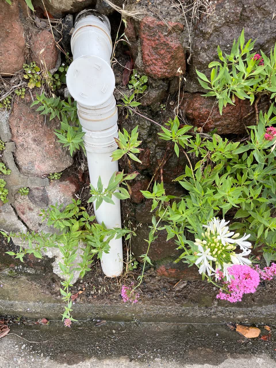 The photograph attached to this water leak report