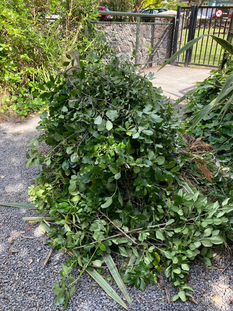 The photograph attached to this parks report