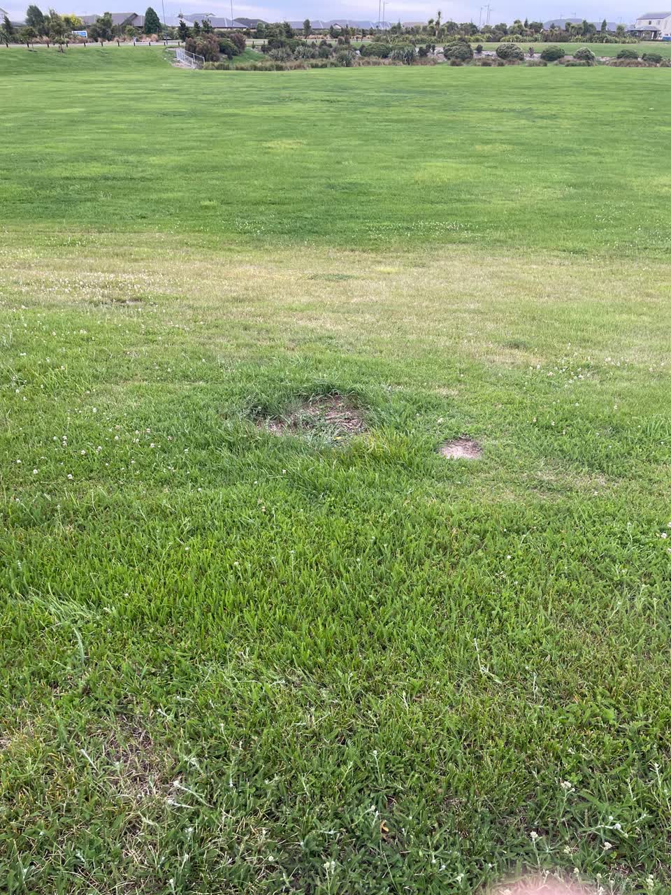 The photograph attached to this parks report