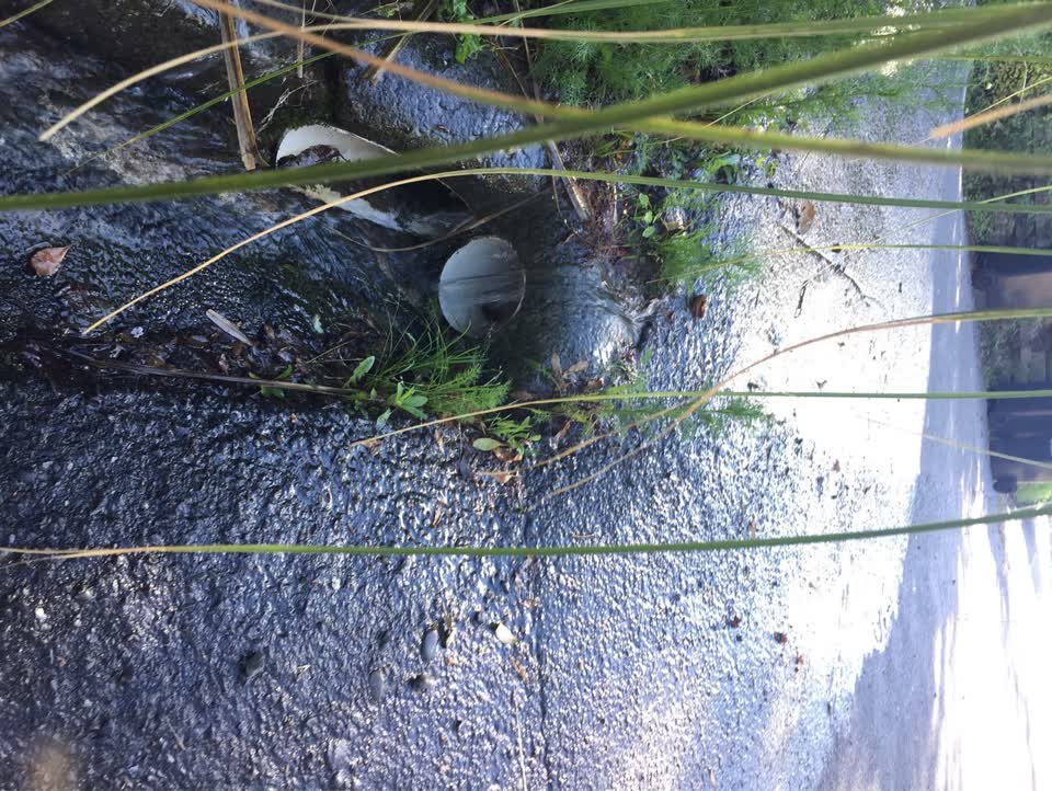 The photograph attached to this water leak report