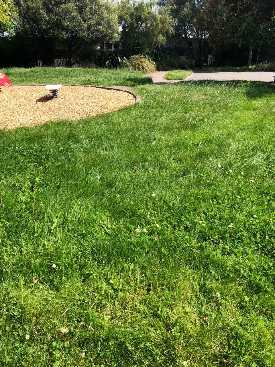 The photograph attached to this parks report