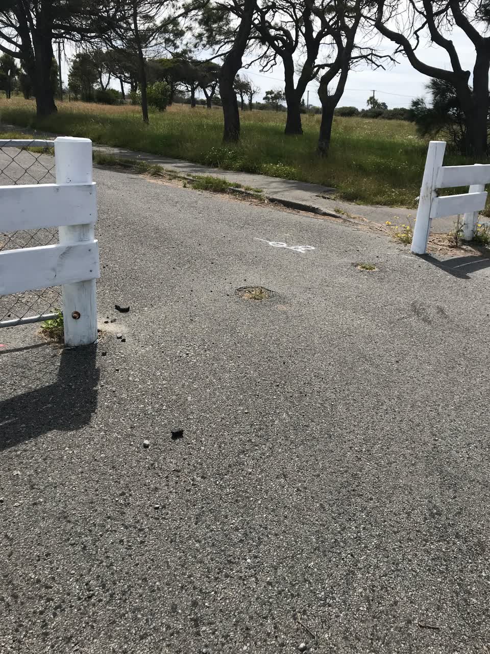 The photograph attached to this parks report