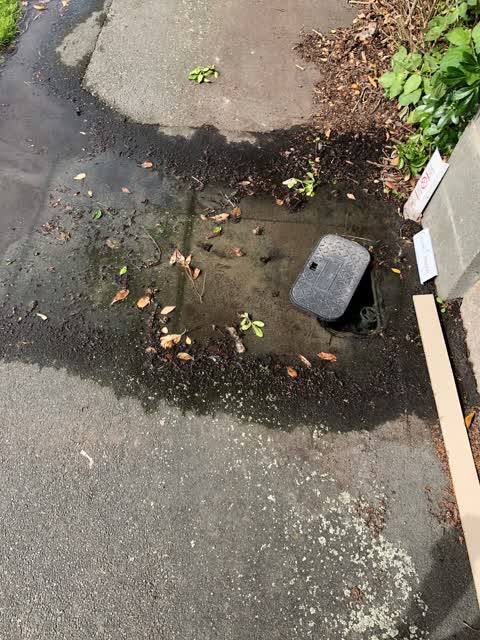 Water Leak, a report photo