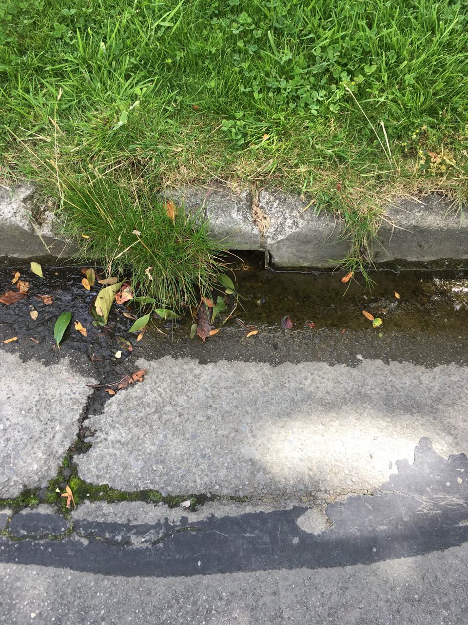 The photograph attached to this water leak report
