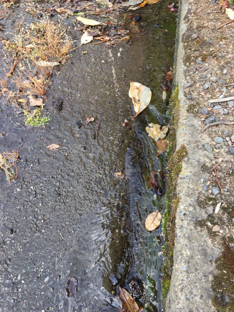 The photograph attached to this water leak report