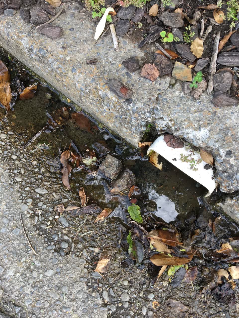 The photograph attached to this water leak report