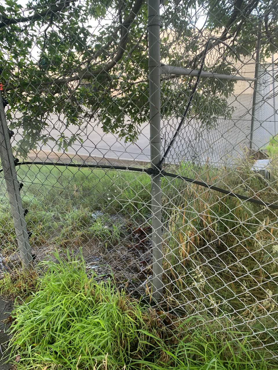 The photograph attached to this water leak report