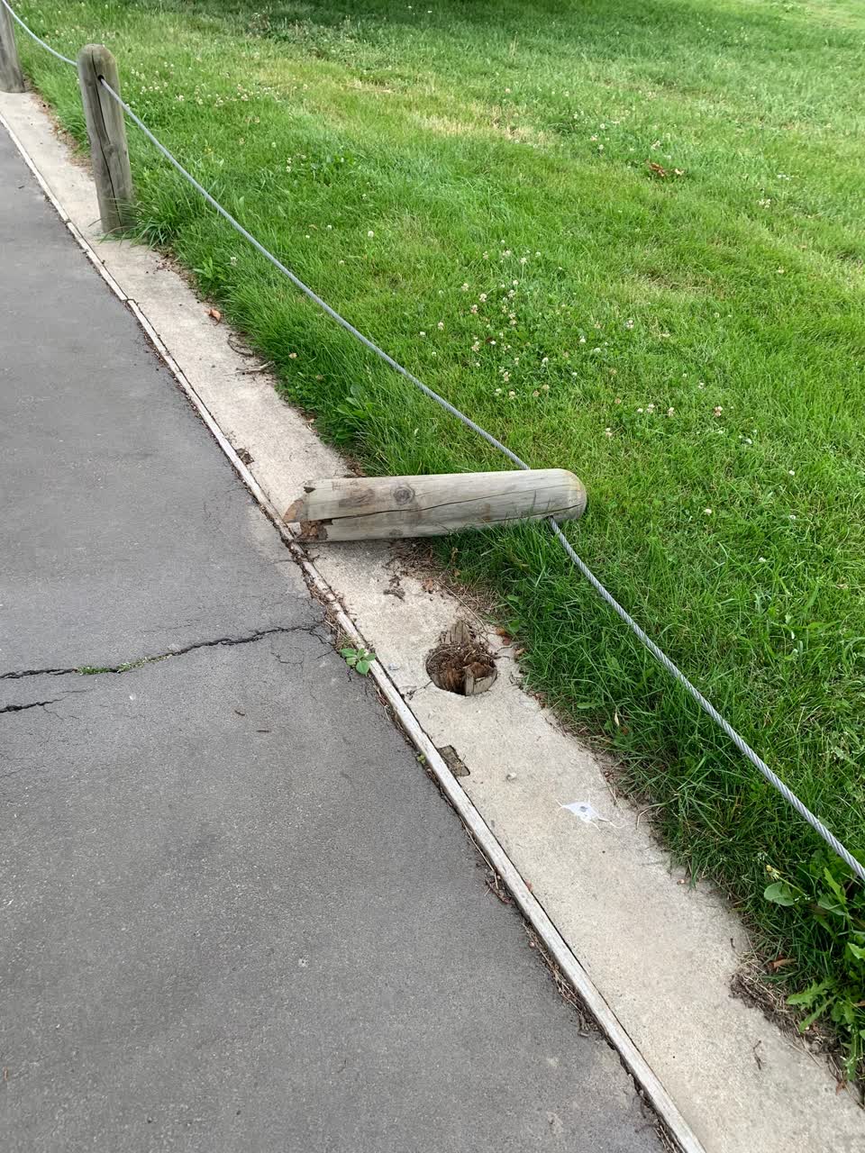 The photograph attached to this parks report